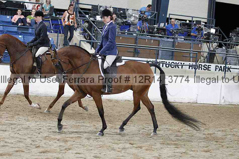 Proof 12r14_3774
