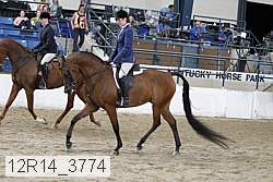 12r14_3774 proof