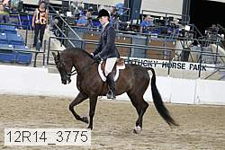 12r14_3775 proof