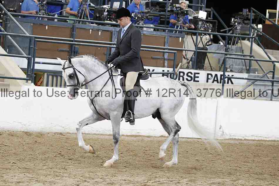 Proof 12r14_3776