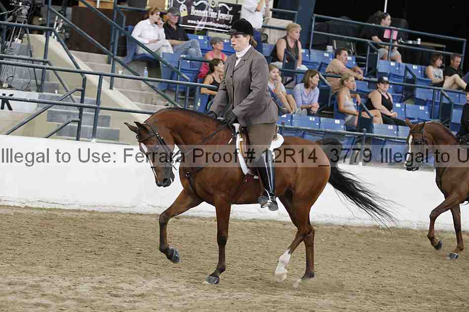 Proof 12r14_3779