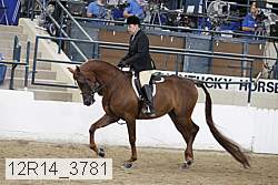 12r14_3781 proof