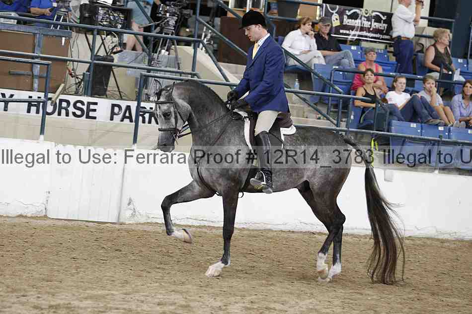 Proof 12r14_3783