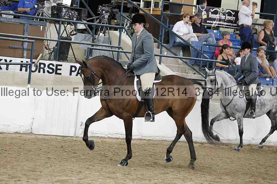 Proof 12r14_3784