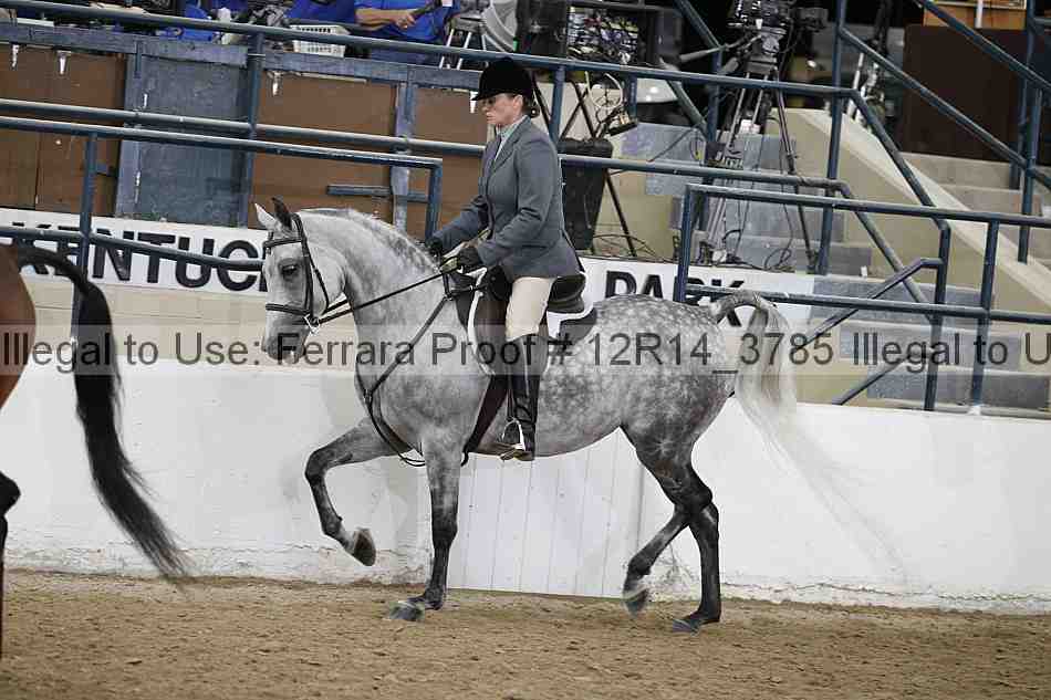 Proof 12r14_3785