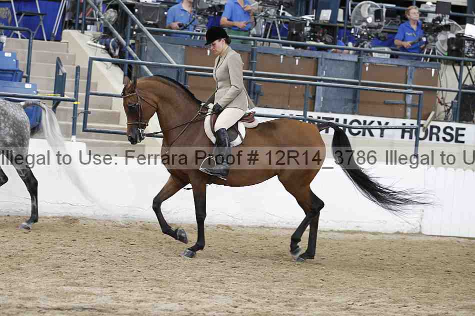 Proof 12r14_3786
