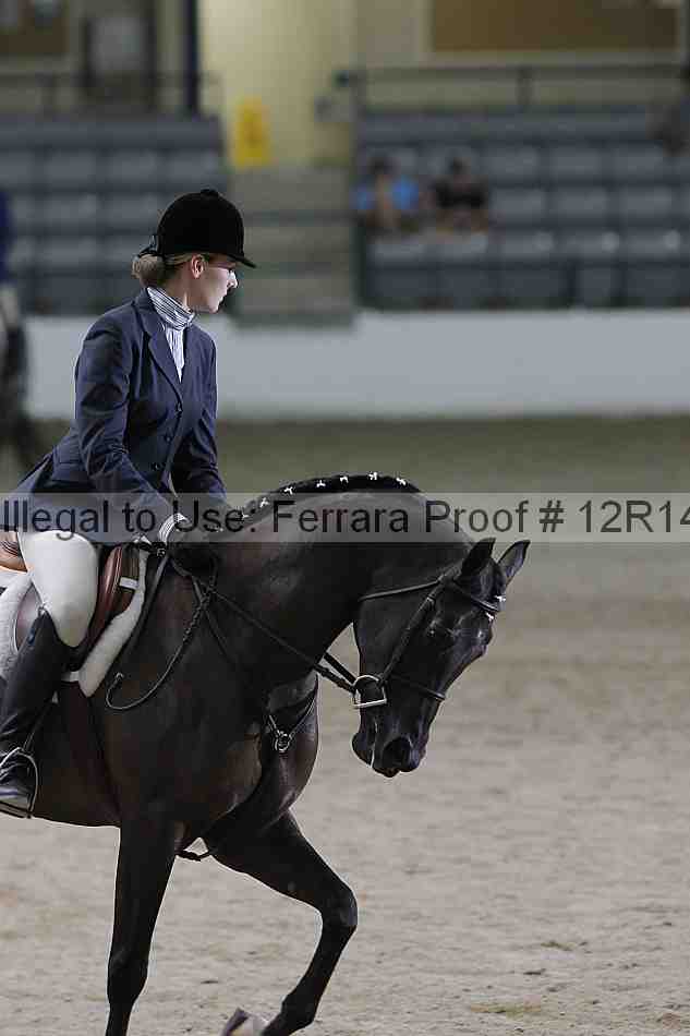 Proof 12r14_3787