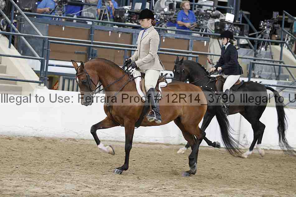 Proof 12r14_3790