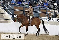 12r14_3791 proof