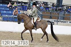 12r14_3793 proof
