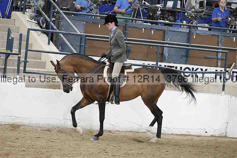 Proof 12r14_3796