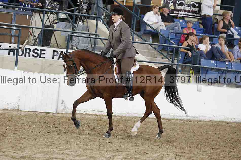 Proof 12r14_3797