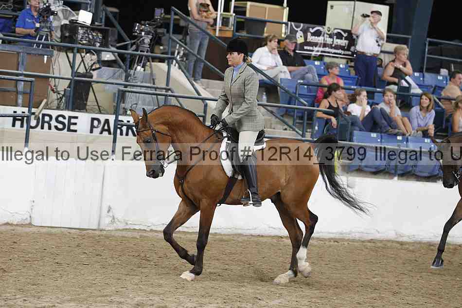 Proof 12r14_3799