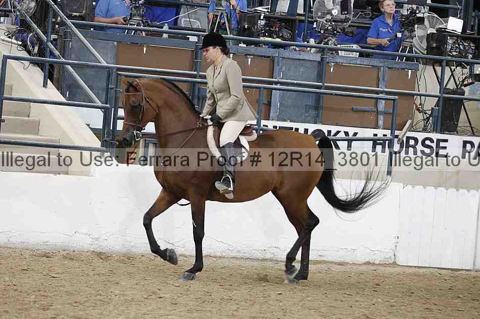 Proof 12r14_3801