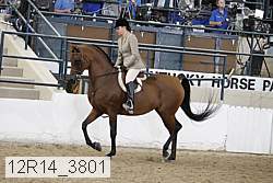 12r14_3801 proof