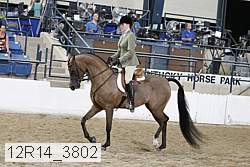 12r14_3802 proof