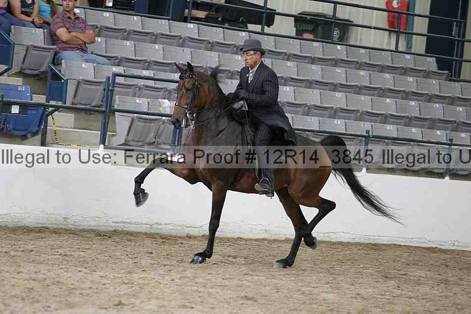 Proof 12r14_3845