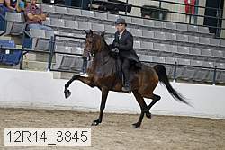 12r14_3845 proof