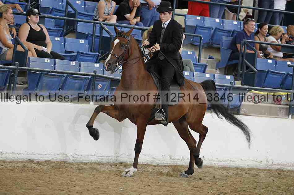Proof 12r14_3846