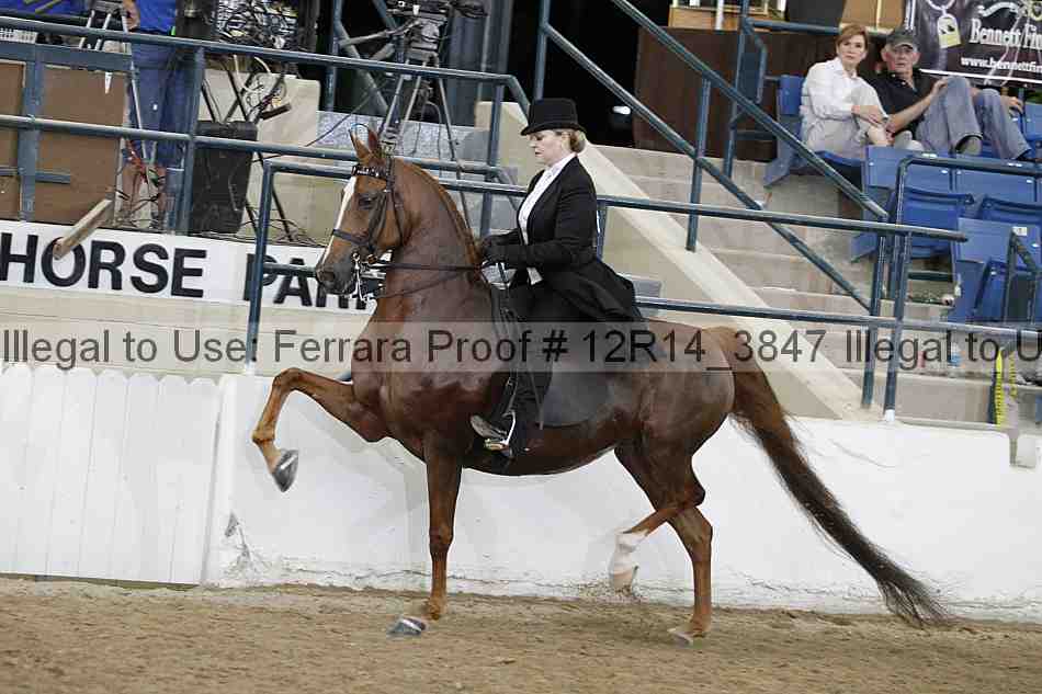 Proof 12r14_3847