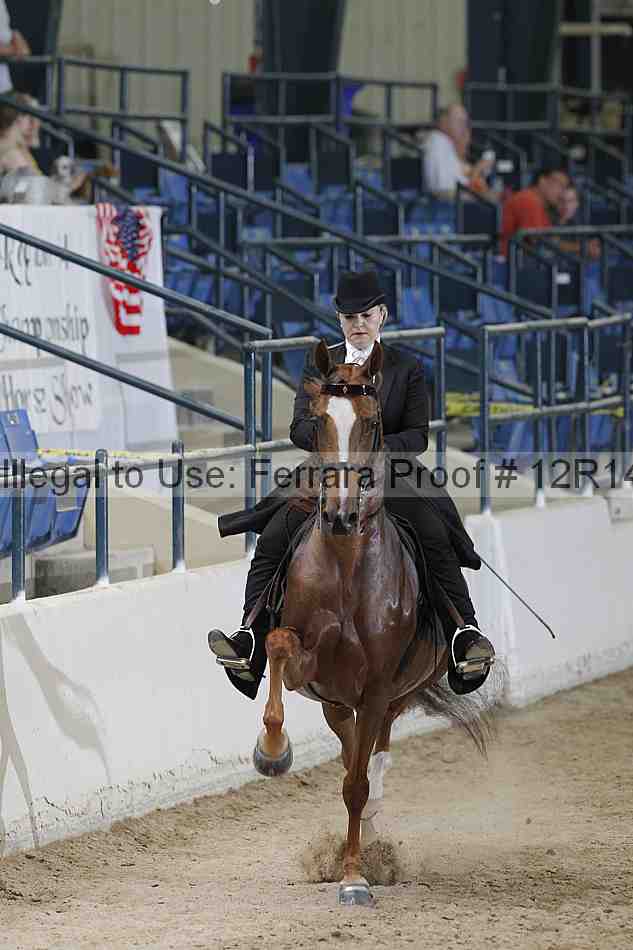 Proof 12r14_3848