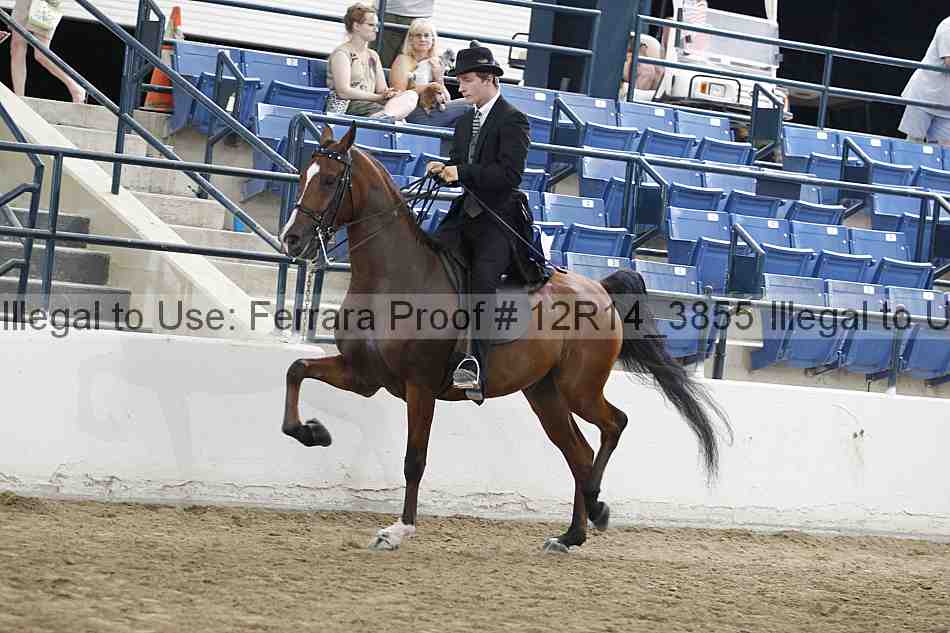 Proof 12r14_3855