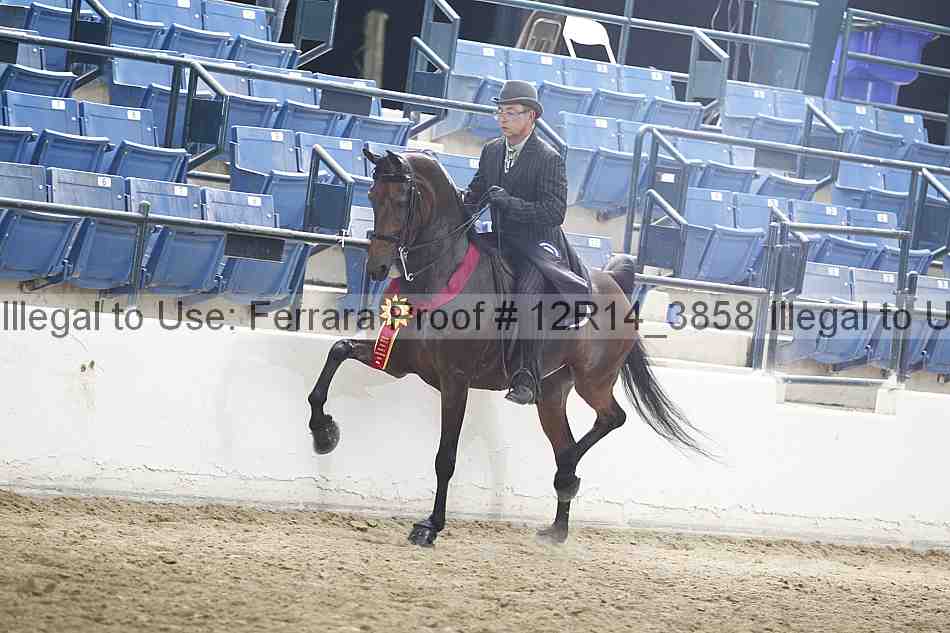 Proof 12r14_3858
