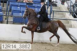 12r14_3862 proof