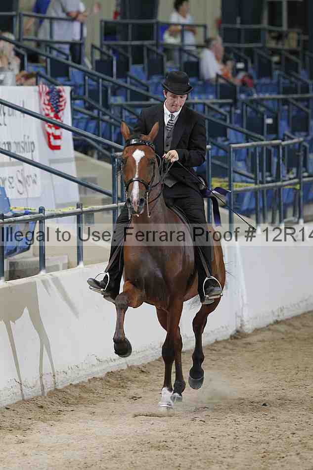 Proof 12r14_3863