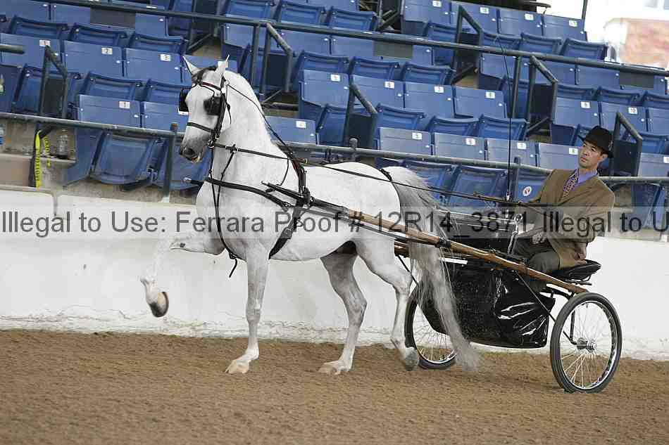 Proof 12r14_3871