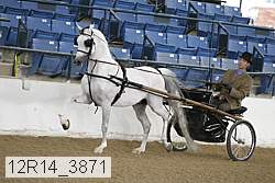 12r14_3871 proof