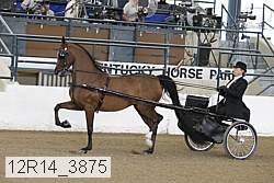 12r14_3875 proof