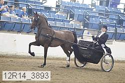 12r14_3893 proof
