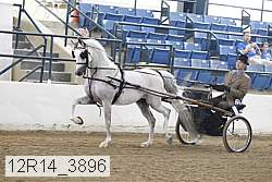 12r14_3896 proof