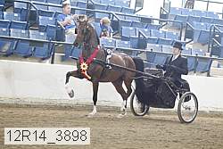 12r14_3898 proof
