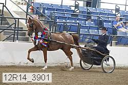 12r14_3901 proof