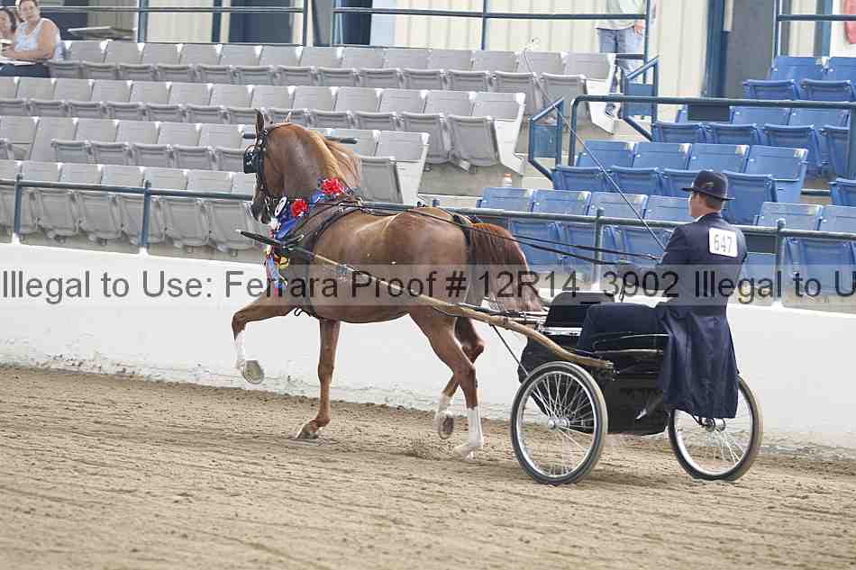 Proof 12r14_3902