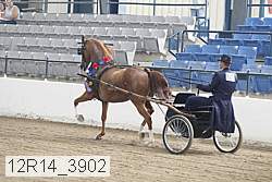 12r14_3902 proof