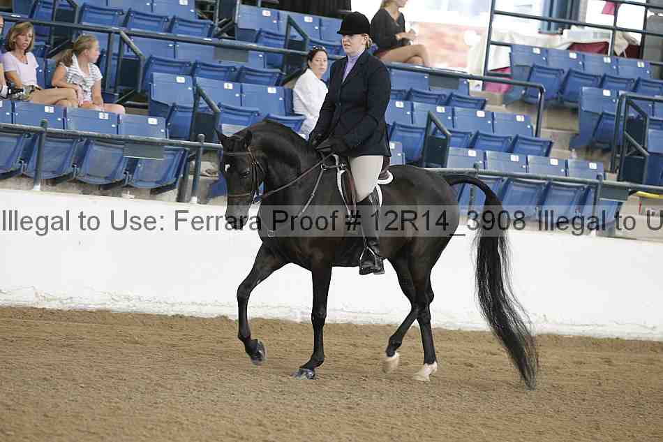 Proof 12r14_3908