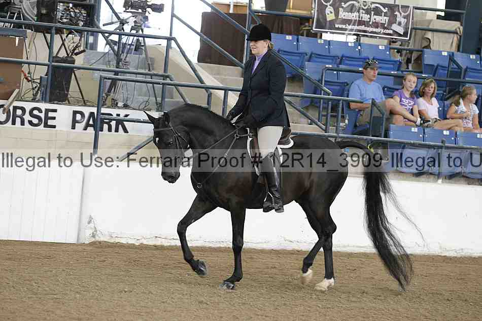 Proof 12r14_3909