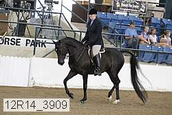 12r14_3909 proof