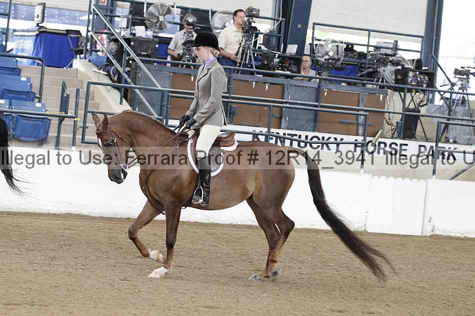 Proof 12r14_3941