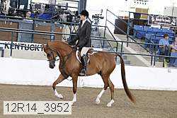 12r14_3952 proof