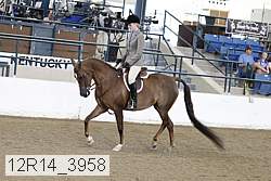 12r14_3958 proof