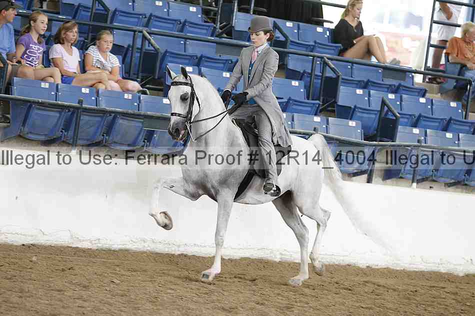 Proof 12r14_4004