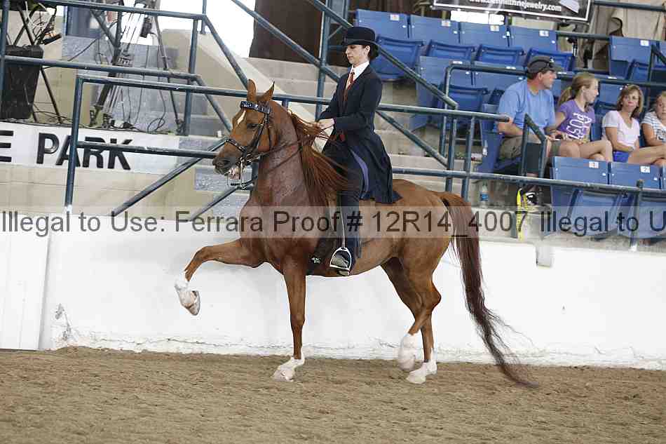 Proof 12r14_4007