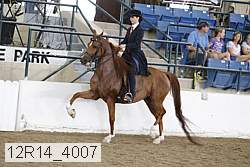 12r14_4007 proof