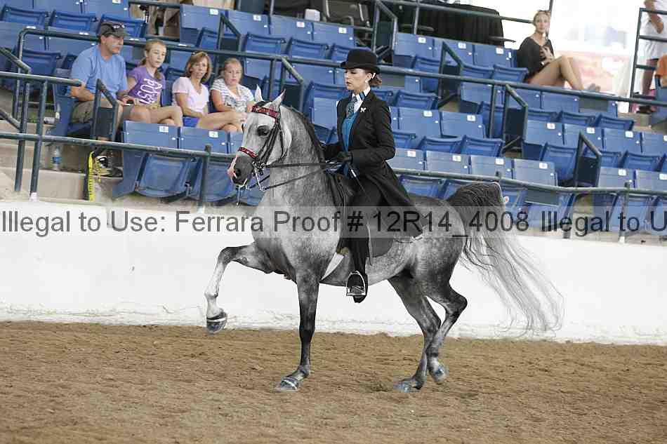 Proof 12r14_4008