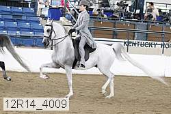 12r14_4009 proof