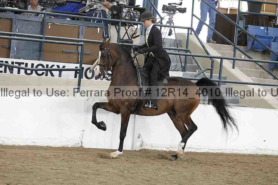 Proof 12r14_4010